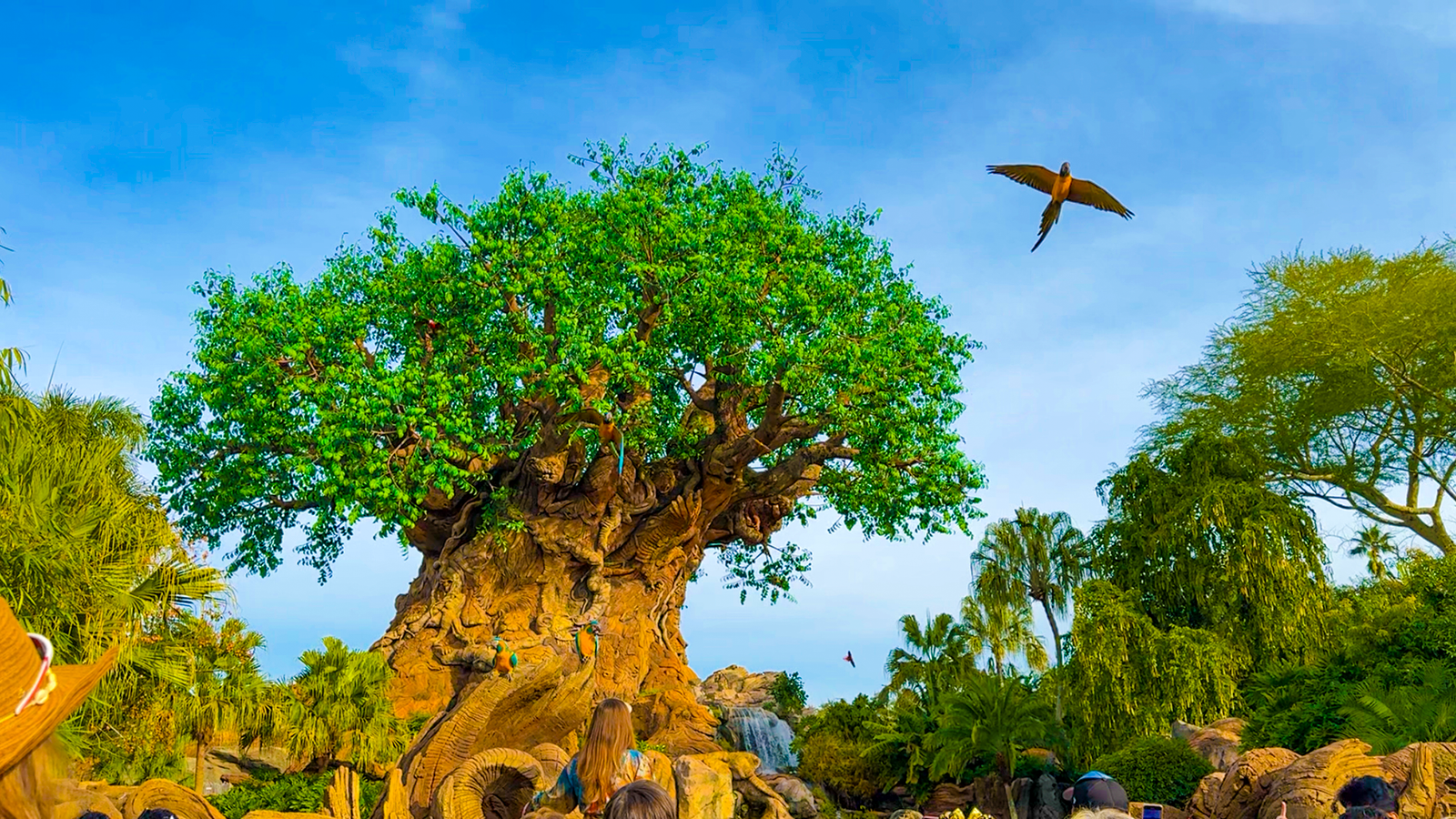 Animal Kingdom en una primera vez en Disney World
